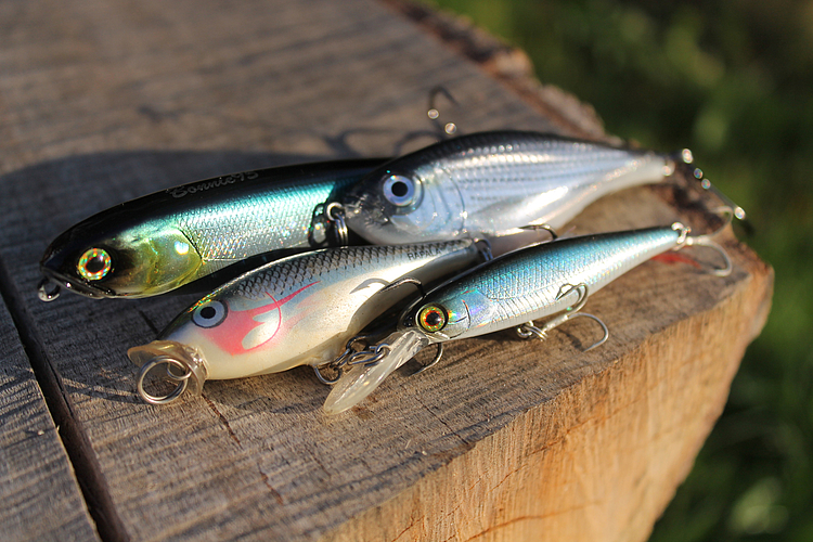 Oberflächenköder und Twichbaits