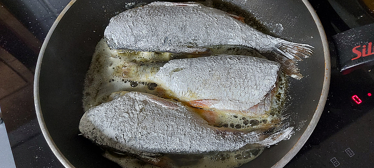 Rotaugen in Pfanne