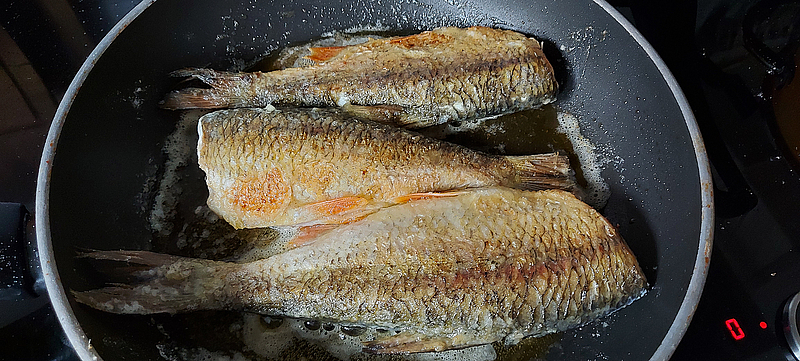 Braungebratene Rotaugen in Pfanne