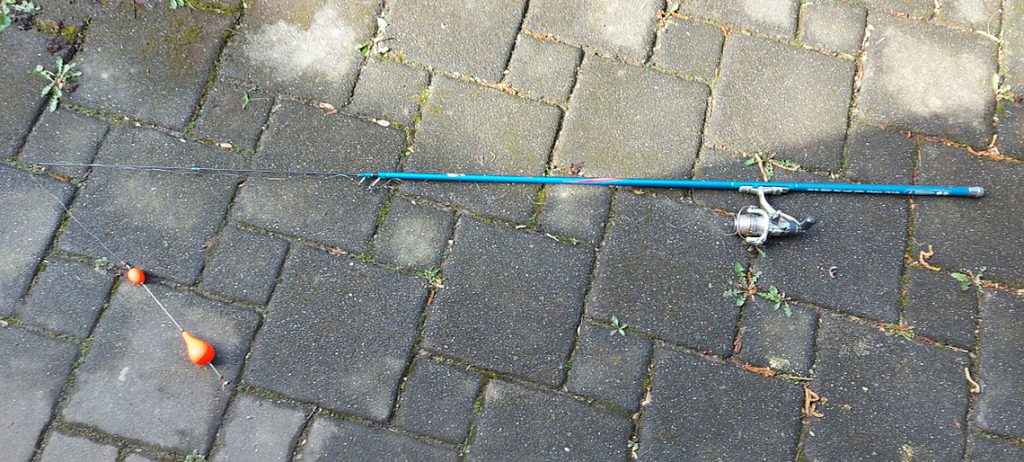 Bologneserute mit Renkenposenmontage