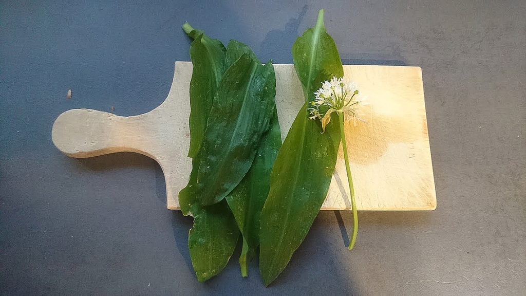 Bärlauch angerichtet auf Holzbrettchen