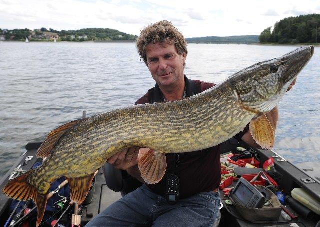 Gefangener Hecht aus dem Möhnesee in Händen von einem Angler