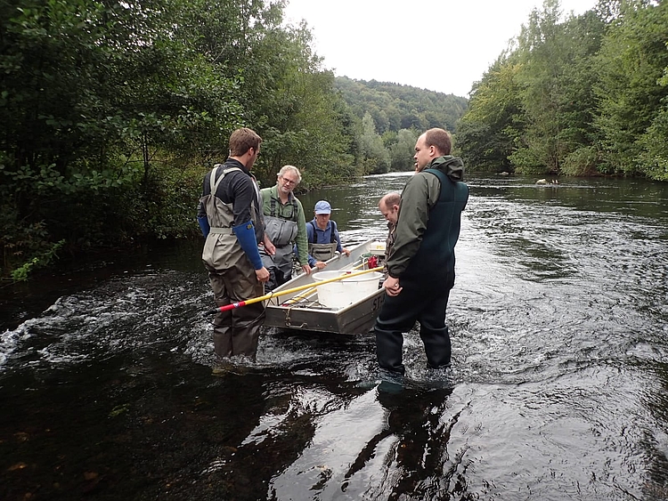 Die Experten bei der Fischbestandsuntersuchung in der Möhne bei Arnsberg-Neheim