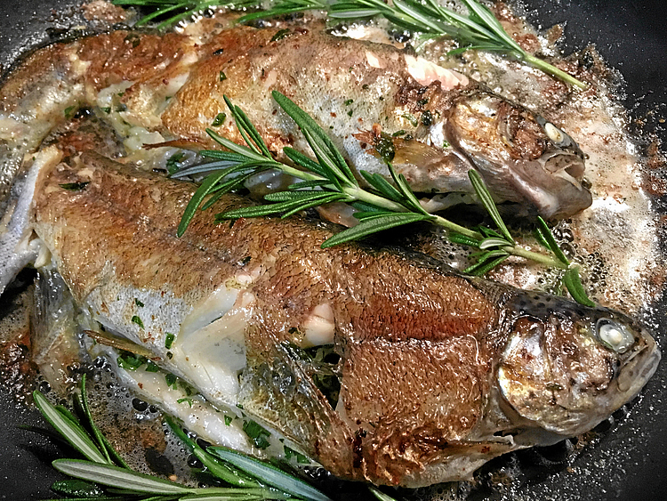 Gebratener Wildfisch