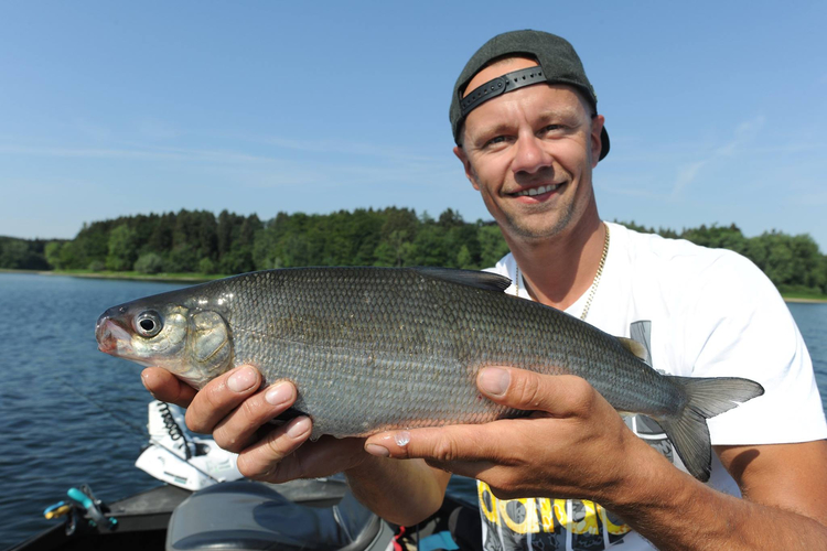 Angler mit gefangener Maräne