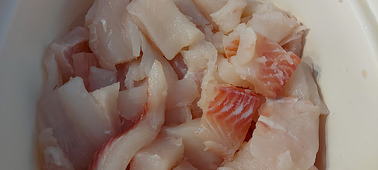 Gestückeltes Hechtfilet in Schüssel
