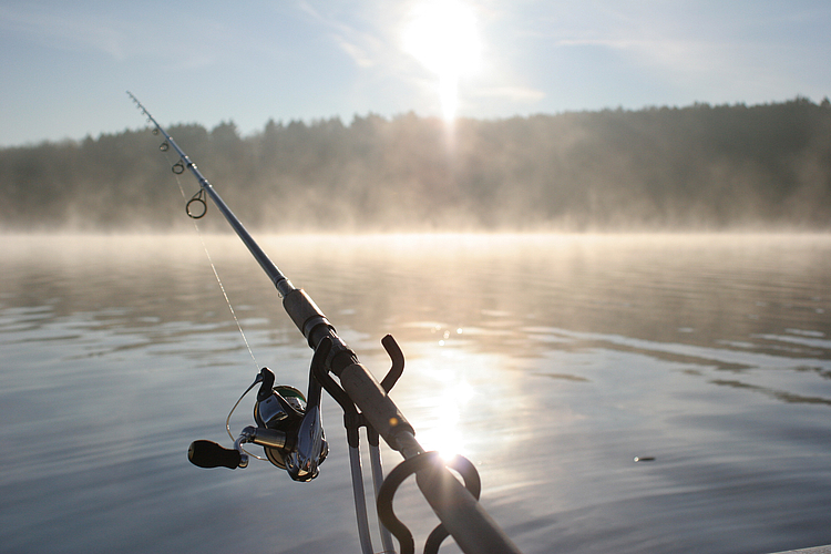 Morgennebel über dem Sorpesee