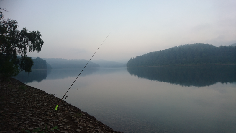 Nebel über dem Listersee