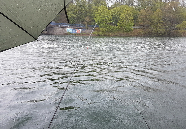 Trüber Hochsommertag