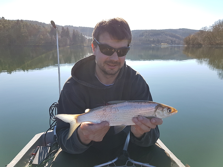 Angler mit Blaufelchen